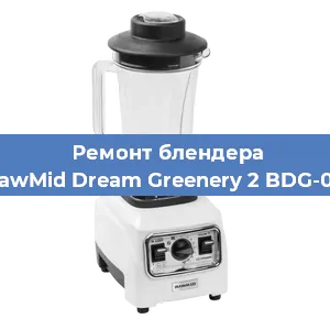 Замена подшипника на блендере RawMid Dream Greenery 2 BDG-03 в Перми